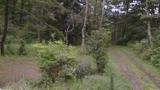 長野県菅平高原 ゆたか山荘 坂上 2026/09/10 15:45