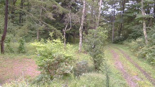 長野県菅平高原 ゆたか山荘 坂上 2026/09/10 16:00