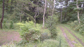 長野県菅平高原 ゆたか山荘 坂上 2026/09/10 16:15