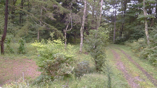 長野県菅平高原 ゆたか山荘 坂上 2026/09/10 16:30