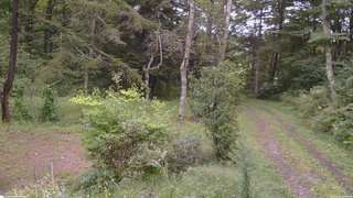長野県菅平高原 ゆたか山荘 坂上 2026/09/10 16:45