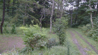 長野県菅平高原 ゆたか山荘 坂上 2026/09/10 17:15