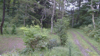 長野県菅平高原 ゆたか山荘 坂上 2026/09/10 17:30