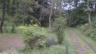 長野県菅平高原 ゆたか山荘 坂上 2026/09/10 17:45