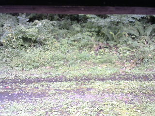 長野県菅平高原 ゆたか山荘 東側(坂下) 2026/09/11 14:45