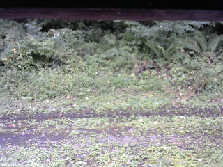 長野県菅平高原 ゆたか山荘 東側(坂下) 2026/09/11 15:45
