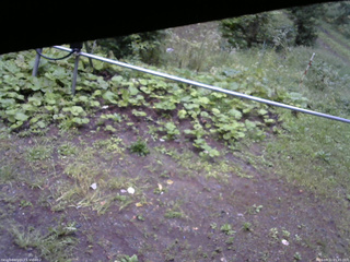 長野県菅平高原 ゆたか山荘 駐車場 2026/09/11 05:45