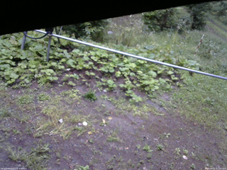 長野県菅平高原 ゆたか山荘 駐車場 2026/09/11 07:00