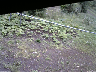 長野県菅平高原 ゆたか山荘 駐車場 2026/09/11 12:15