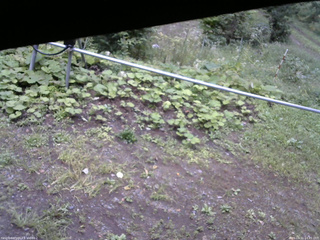 長野県菅平高原 ゆたか山荘 駐車場 2026/09/11 14:45