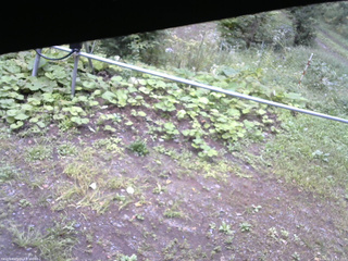 長野県菅平高原 ゆたか山荘 駐車場 2026/09/11 15:15
