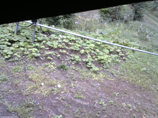長野県菅平高原 ゆたか山荘 駐車場 2026/09/11 16:15