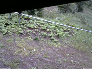 長野県菅平高原 ゆたか山荘 駐車場 2026/09/11 16:45