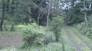 長野県菅平高原 ゆたか山荘 坂上 2026/09/11 05:30