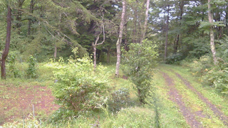 長野県菅平高原 ゆたか山荘 坂上 2026/09/11 05:45
