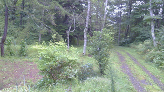 長野県菅平高原 ゆたか山荘 坂上 2026/09/11 06:00