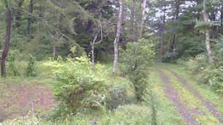 長野県菅平高原 ゆたか山荘 坂上 2026/09/11 06:15