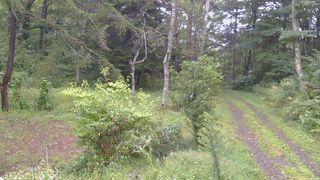 長野県菅平高原 ゆたか山荘 坂上 2026/09/11 06:30