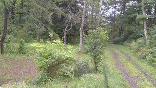 長野県菅平高原 ゆたか山荘 坂上 2026/09/11 07:00