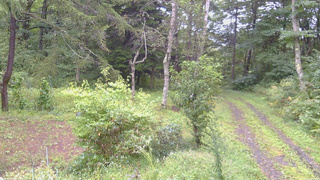 長野県菅平高原 ゆたか山荘 坂上 2026/09/11 07:30