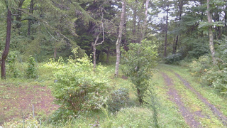 長野県菅平高原 ゆたか山荘 坂上 2026/09/11 07:45