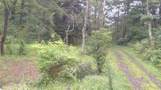 長野県菅平高原 ゆたか山荘 坂上 2026/09/11 08:00