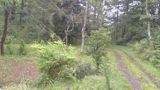 長野県菅平高原 ゆたか山荘 坂上 2026/09/11 08:30