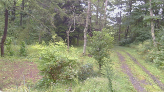 長野県菅平高原 ゆたか山荘 坂上 2026/09/11 08:45