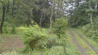 長野県菅平高原 ゆたか山荘 坂上 2026/09/11 09:00