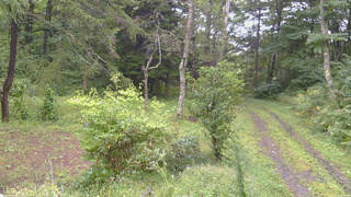 長野県菅平高原 ゆたか山荘 坂上 2026/09/11 09:15