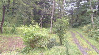 長野県菅平高原 ゆたか山荘 坂上 2026/09/11 09:30