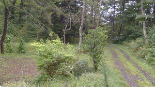 長野県菅平高原 ゆたか山荘 坂上 2026/09/11 09:45