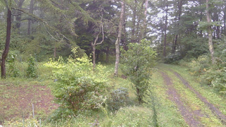 長野県菅平高原 ゆたか山荘 坂上 2026/09/11 10:15