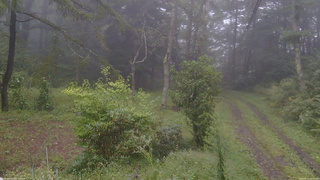 長野県菅平高原 ゆたか山荘 坂上 2026/09/11 10:45