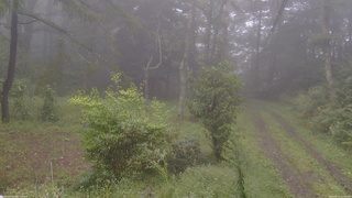 長野県菅平高原 ゆたか山荘 坂上 2026/09/11 11:00