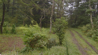 長野県菅平高原 ゆたか山荘 坂上 2026/09/11 11:15