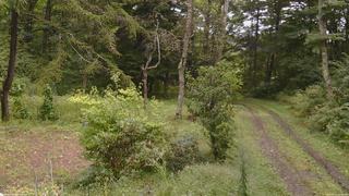 長野県菅平高原 ゆたか山荘 坂上 2026/09/11 11:30