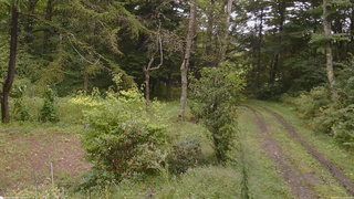 長野県菅平高原 ゆたか山荘 坂上 2026/09/11 11:45