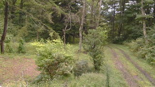 長野県菅平高原 ゆたか山荘 坂上 2026/09/11 12:00