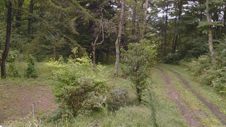 長野県菅平高原 ゆたか山荘 坂上 2026/09/11 12:15