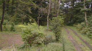 長野県菅平高原 ゆたか山荘 坂上 2026/09/11 12:30