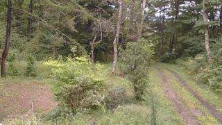 長野県菅平高原 ゆたか山荘 坂上 2026/09/11 12:45