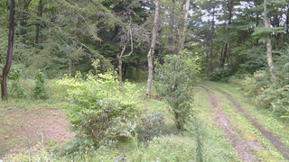 長野県菅平高原 ゆたか山荘 坂上 2026/09/11 13:00
