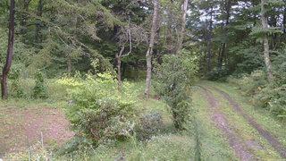長野県菅平高原 ゆたか山荘 坂上 2026/09/11 13:15