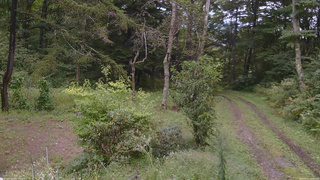 長野県菅平高原 ゆたか山荘 坂上 2026/09/11 14:00