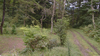 長野県菅平高原 ゆたか山荘 坂上 2026/09/11 14:15