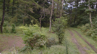 長野県菅平高原 ゆたか山荘 坂上 2026/09/11 14:30