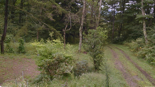 長野県菅平高原 ゆたか山荘 坂上 2026/09/11 14:45