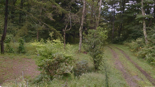 長野県菅平高原 ゆたか山荘 坂上 2026/09/11 15:00