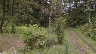 長野県菅平高原 ゆたか山荘 坂上 2026/09/11 15:30